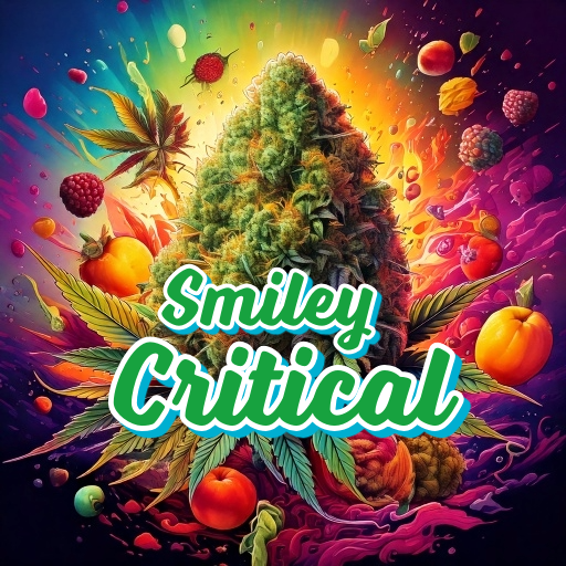 Smiley Critical